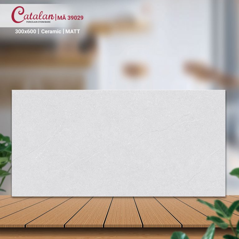 Gạch Ceramic 30x60 màu xám vân đá men mattCatalan CTLC.3060.05.05.39029