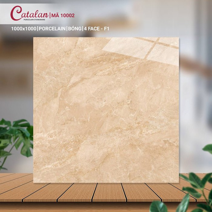 Gạch Porcelain 100x100 vân đá men bóng Catalan CTLP.100100.10002