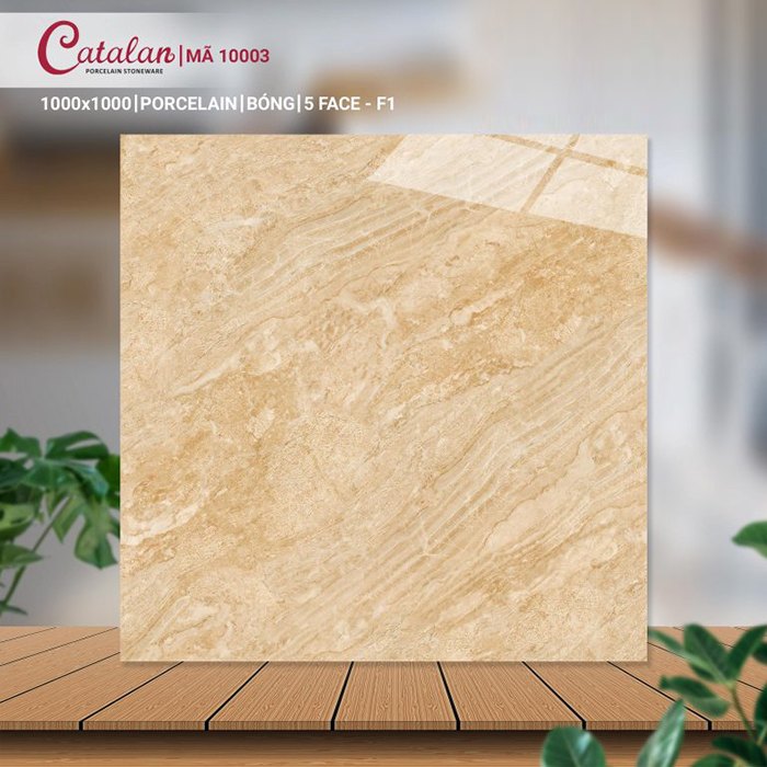 Gạch Porcelain 100x100 vân đá men bóng Catalan CTLP.100100.10003