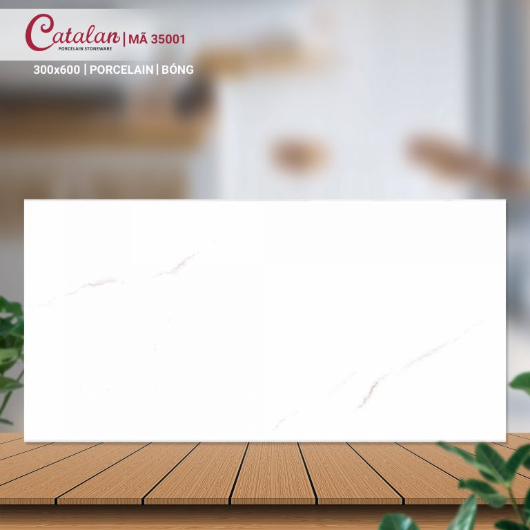 Gạch Porcelain 30x60 màu trắng vân đá men bóng Catalan CTLP.3060.35001