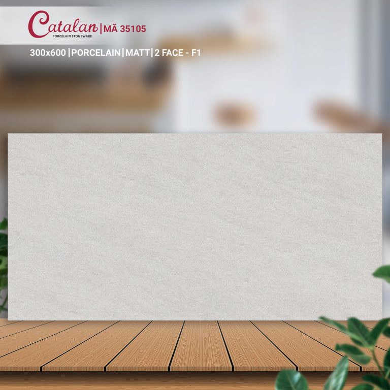 Gạch Porcelain 30x60 men matt Catalan CTLP.3060.35105