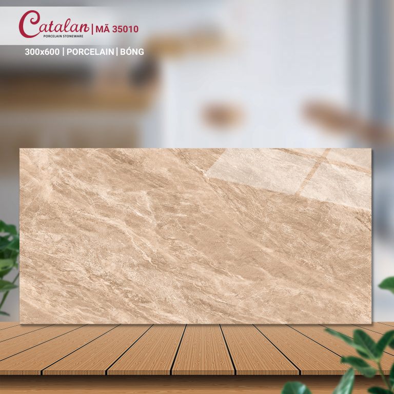 Gạch Porcelain 30x60 vân đá men bóng Catalan CTLP.3060.35010