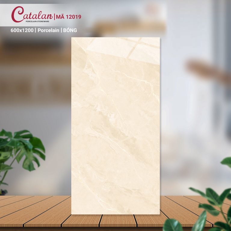 Gạch Porcelain 60x120 mài bóng nano Catalan CTLP.60120.12019