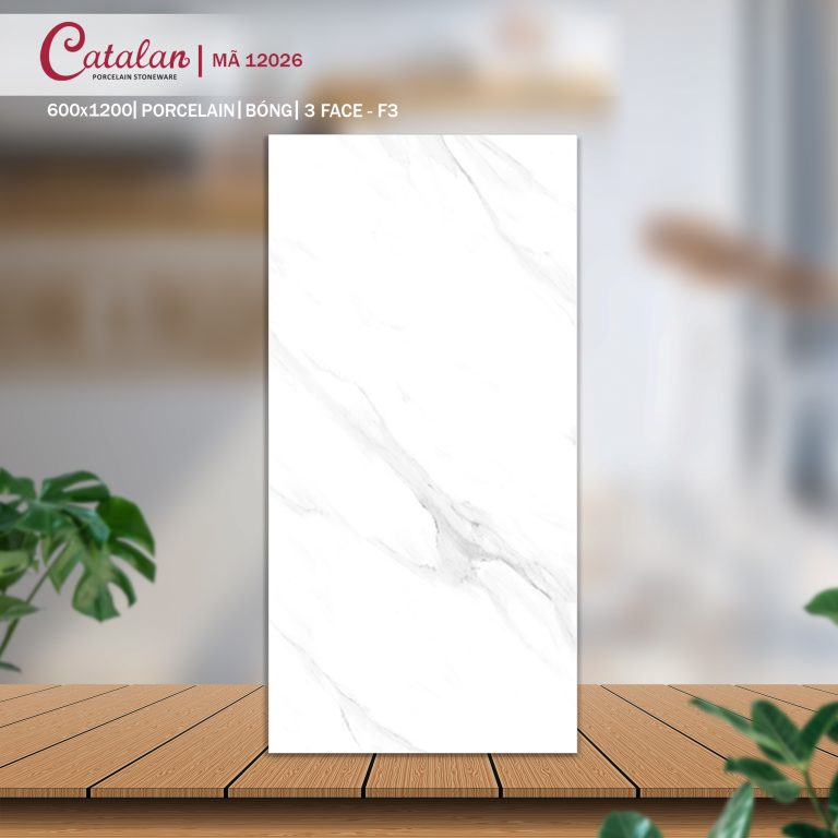 Gạch Porcelain 60x120 màu trắng men bóng Catalan CTLP.60120.12026