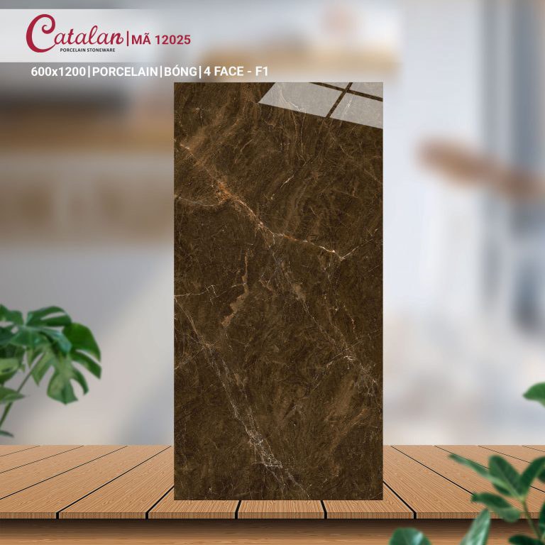 Gạch Porcelain 60x120 men bóng Catalan CTLP.60120.12025