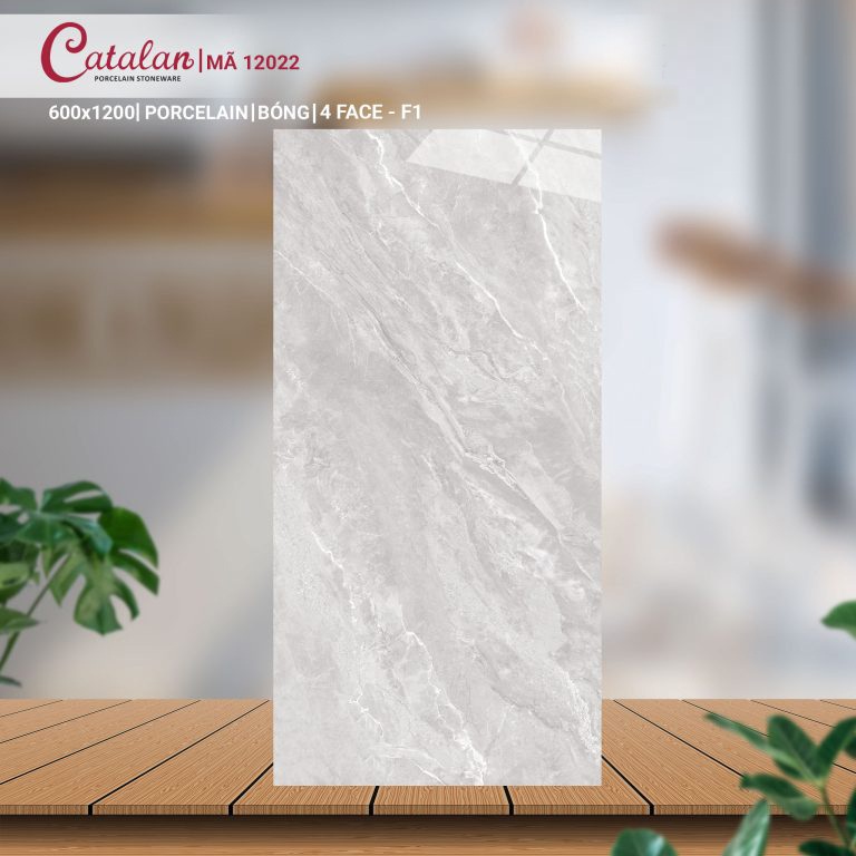 Gạch Porcelain 60x120 vân đá men bóng Catalan CTLP.60120.12022