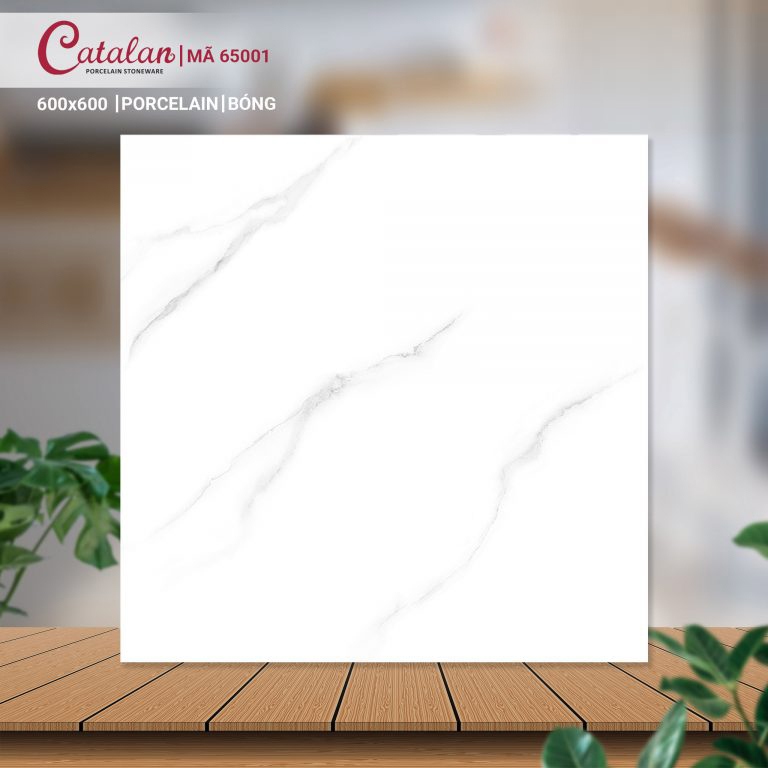 Gạch Porcelain 60x60 mài bóng nano Catalan CTLP.6060.65001