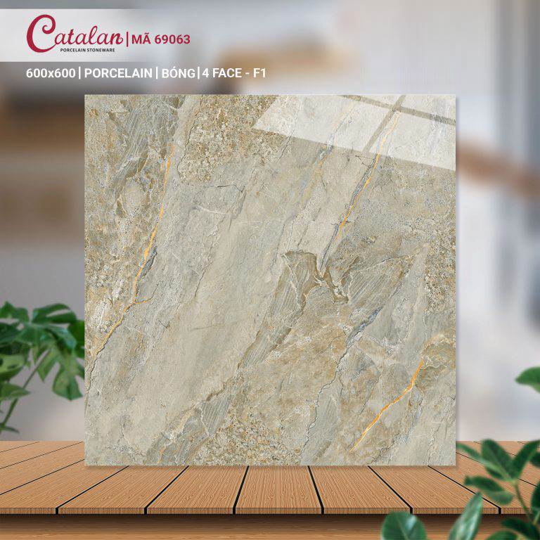 Gạch Porcelain 60x60 mài bóng nano Catalan CTLP.6060.69063