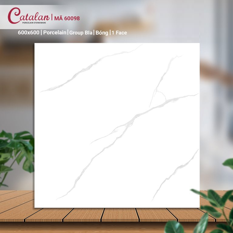 Gạch Porcelain 60x60 màu trắng men bóng Catalan CTLP.6060.60098