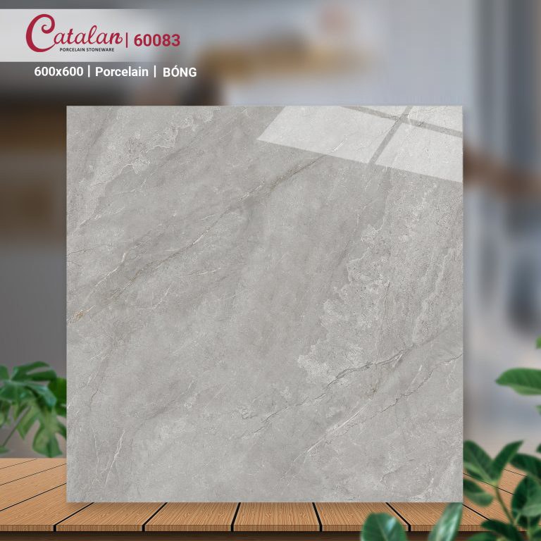 Gạch Porcelain 60x60 màu xám men bóng Catalan CTLP.6060.60083