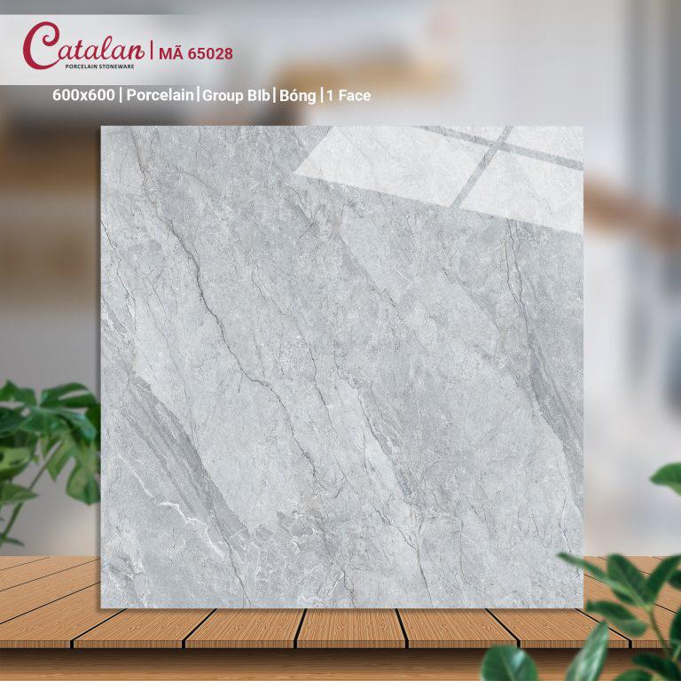 Gạch Porcelain 60x60 màu xám men bóng Catalan CTLP.6060.65028