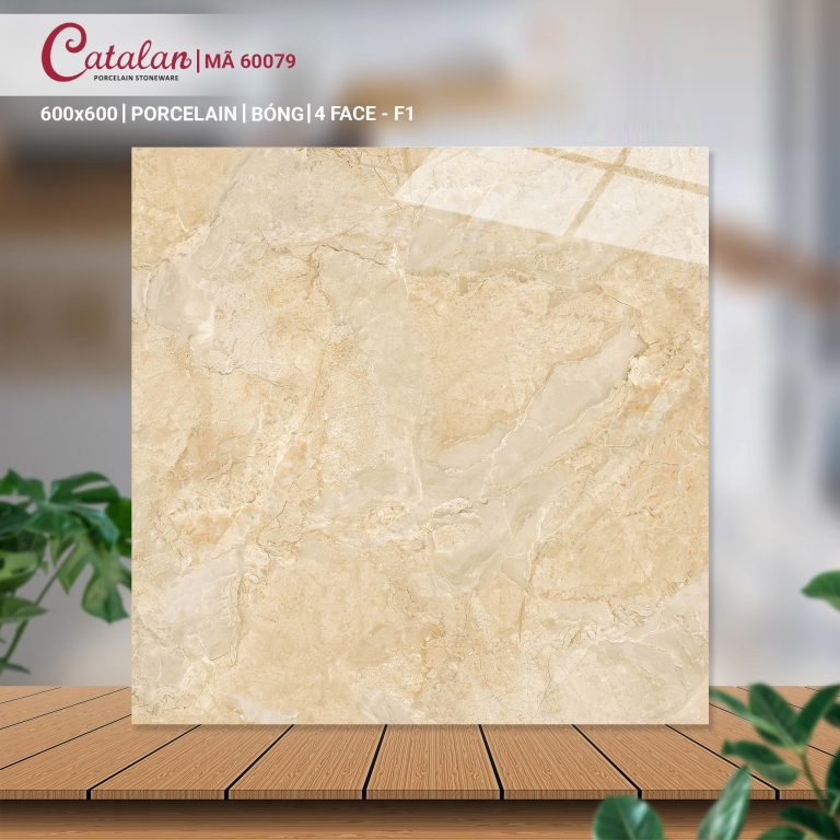 Gạch Porcelain 60x60 men bóng Catalan CTLP.6060.60079