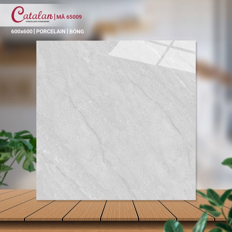 Gạch Porcelain 60x60 men bóng Catalan CTLP.6060.65009