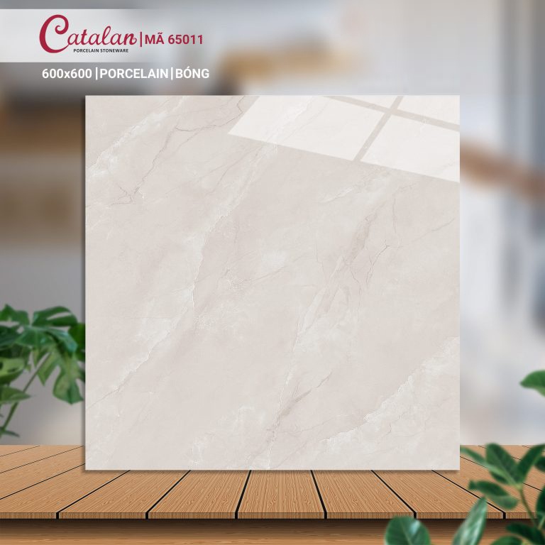 Gạch Porcelain 60x60 men bóng Catalan CTLP.6060.65011