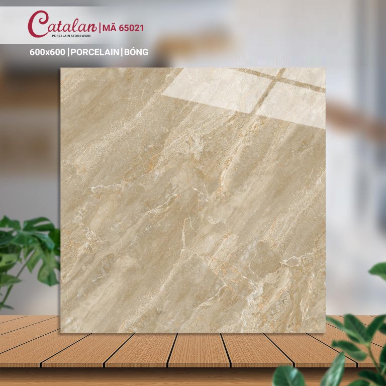 Gạch Porcelain 60x60 men bóng Catalan CTLP.6060.65021