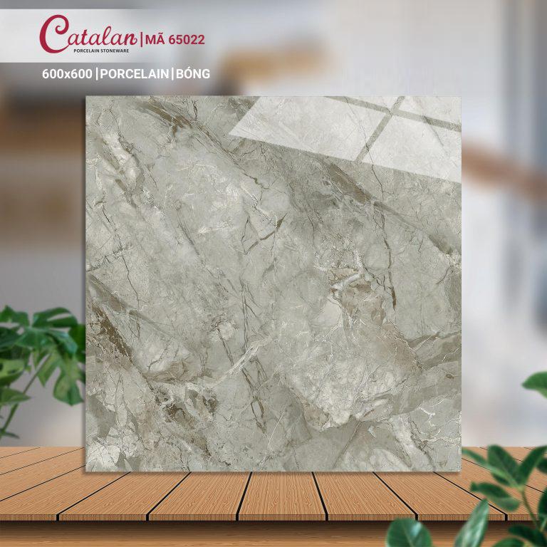 Gạch Porcelain 60x60 men bóng Catalan CTLP.6060.65022