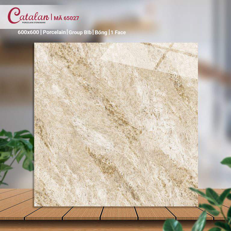 Gạch Porcelain 60x60 men bóng Catalan CTLP.6060.65027