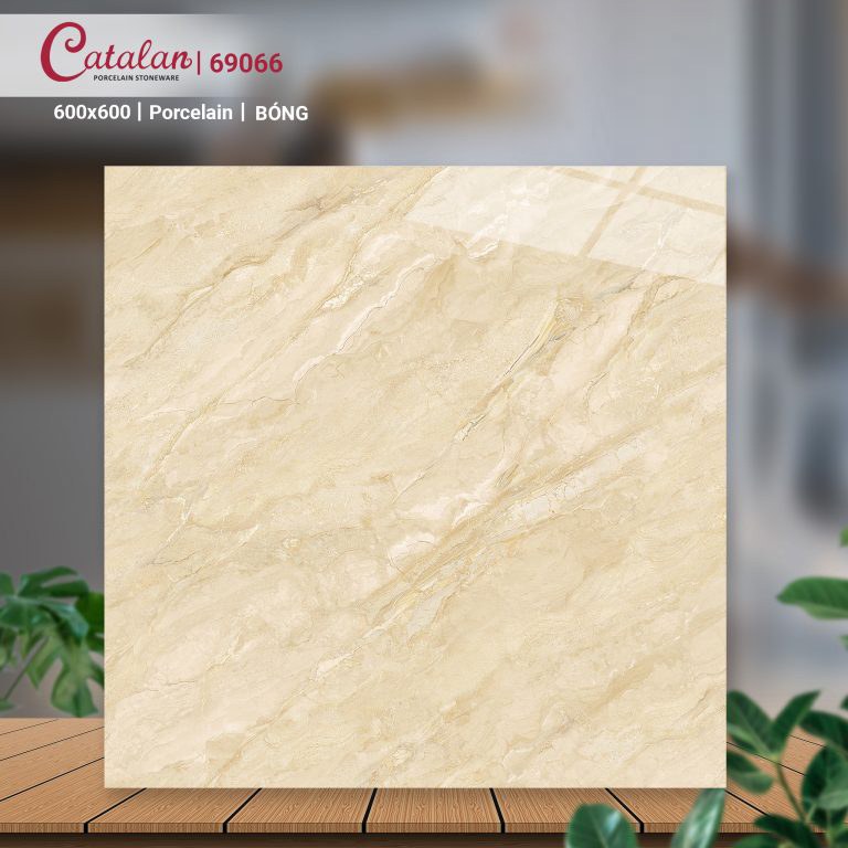 Gạch Porcelain 60x60 men bóng Catalan CTLP.6060.69066