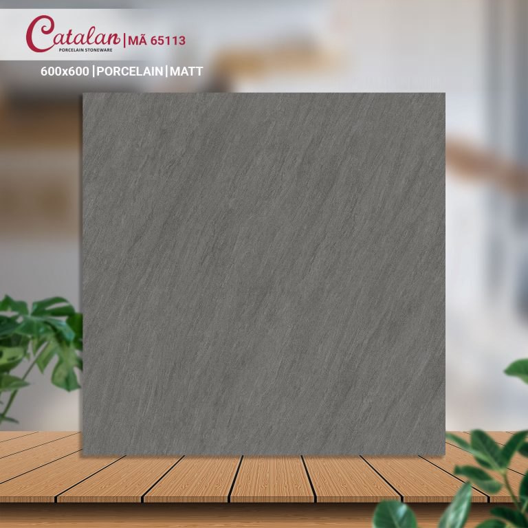 Gạch Porcelain 60x60 men matt Catalan CTLP.6060.65113
