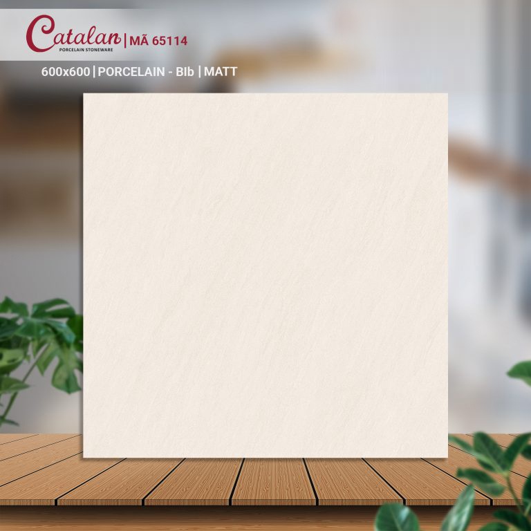 Gạch Porcelain 60x60 men matt Catalan CTLP.6060.65114