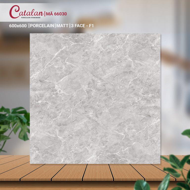 Gạch Porcelain 60x60 men matt Catalan CTLP.6060.66030