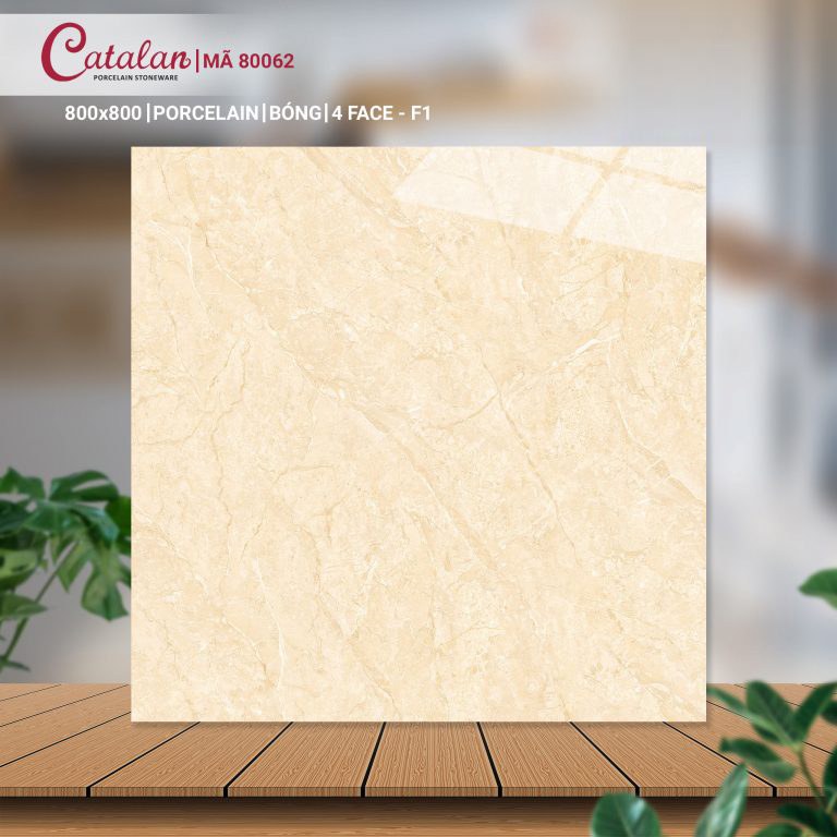 Gạch Porcelain 80x80 men bóng Catalan CTLP.8080.07.06.80062