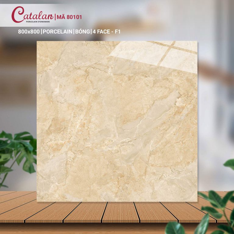 Gạch Porcelain 80x80 men bóng Catalan CTLP.8080.80101