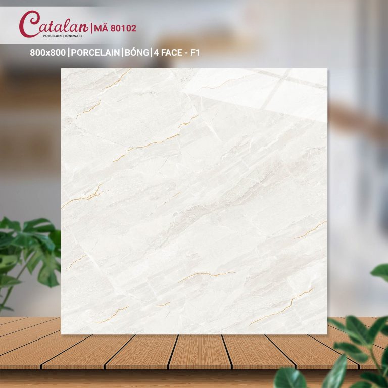 Gạch Porcelain 80x80 men bóng Catalan CTLP.8080.80102