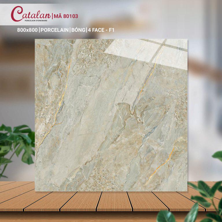 Gạch Porcelain 80x80 men bóng Catalan CTLP.8080.80103