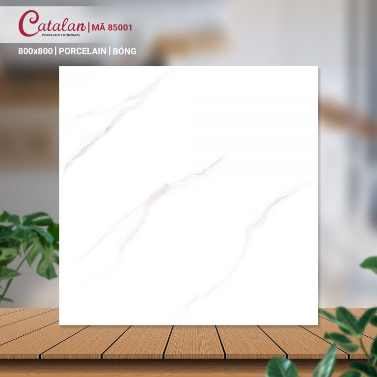 Gạch Porcelain 80x80 men bóng Catalan CTLP.8080.85001