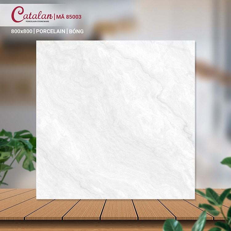 Gạch Porcelain 80x80 men bóng Catalan CTLP.8080.85003