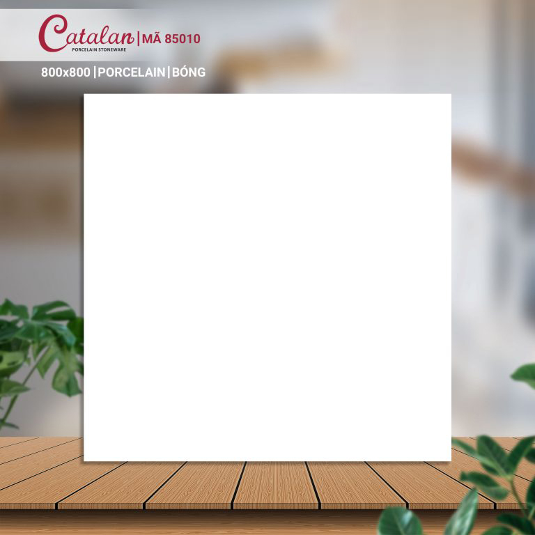 Gạch Porcelain 80x80 men bóng Catalan CTLP.8080.85010