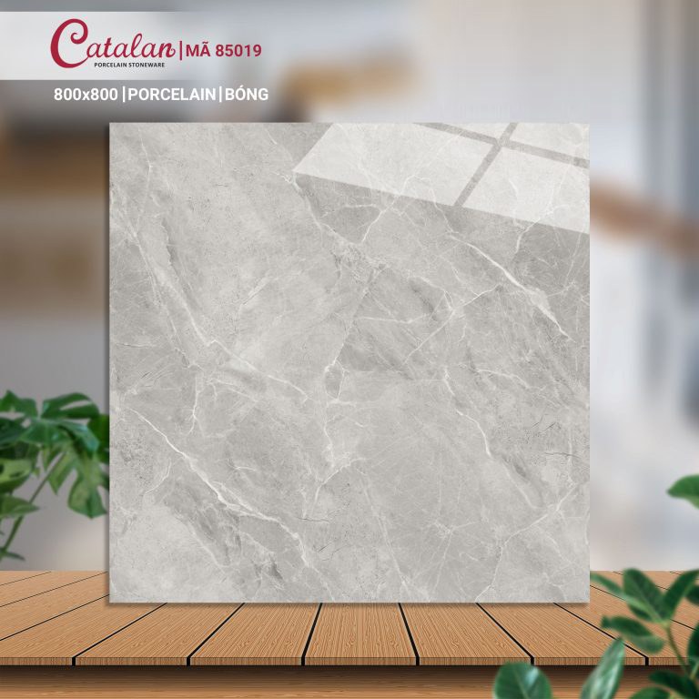 Gạch Porcelain 80x80 men bóng Catalan CTLP.8080.85019