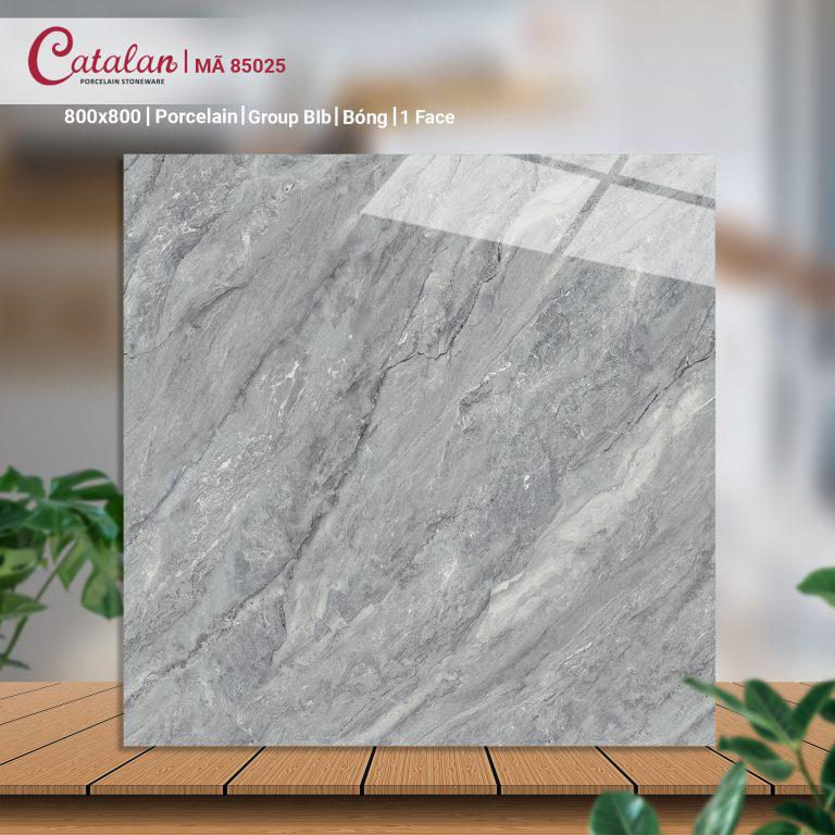 Gạch Porcelain 80x80 men bóng Catalan CTLP.8080.85025